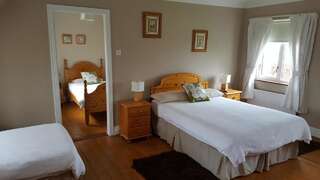 Отели типа «постель и завтрак» Dergfield House B&B Баллибофи Cемейный номер с собственной ванной комнатой-4